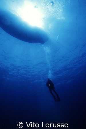 Blue by Vito Lorusso 