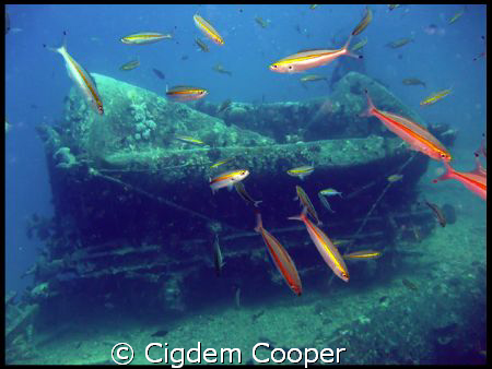 Water Tender on SS Thistlegorm. by Cigdem Cooper 