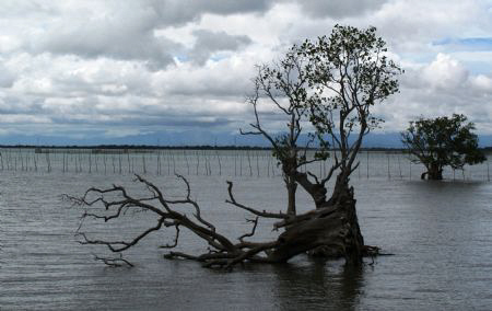 Calm Before The Storm......(Typhoon Auring) by Bernard Maglana 