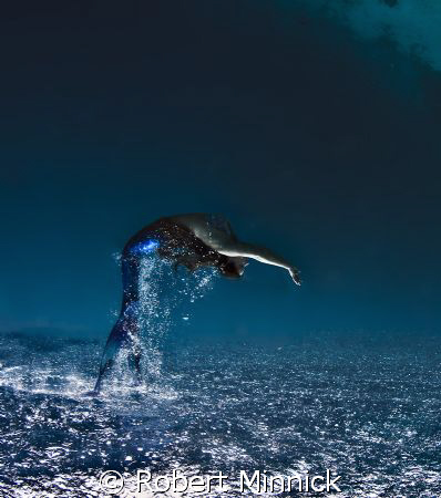 Mermaid Jumping by Robert Minnick 