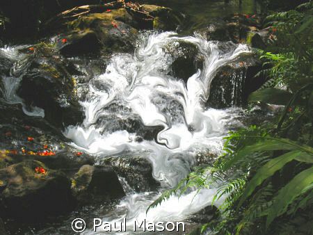 CACADE IN HAWAII by Paul Mason 