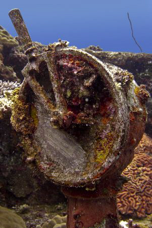 Needs a bit ofa  clean!! Casio exilim... Truuk lagoon again. by Andrew Macleod 