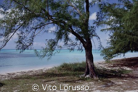 Bahamas - Isla Eluthera by Vito Lorusso 