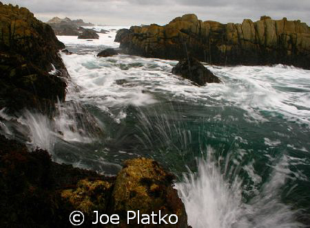 Storm hitting Pacific Grove, Ca. Despite heavy western sw... by Joe Platko 