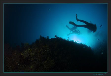 Divers in the sky.. by Sven Tramaux 