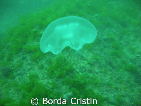 "I am in the air" by Borda Cristin 