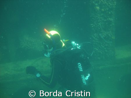 Curiosity! by Borda Cristin 