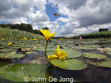 The last picture from my half/half test in the chanle clo... by John De Jong 
