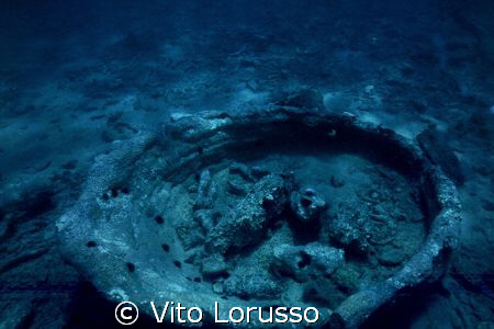 Torre Ovo (Puglia-Italy) - Petrified forest by Vito Lorusso 