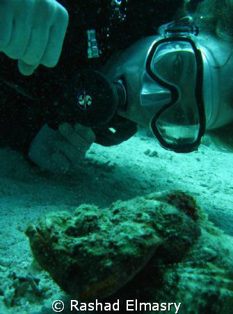 Devil scorpionfish with a diver . by Rashad Elmasry 