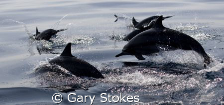 Dawn Patrol 2 by Gary Stokes 