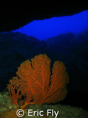 The Grotto, Saipan by Eric Fly 