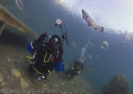 Alan Fryer in action! Capernwray. S5PRO, 10.5mm. by Derek Haslam 