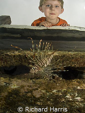 My son was on the pontoon and I was swimming past when th... by Richard Harris 
