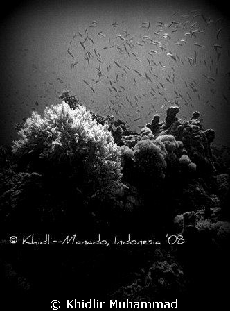 quiet... by Khidlir Muhammad 