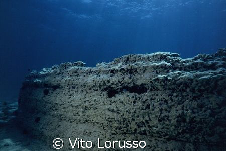 Torre Ovo (Puglia-Italy) - Petrified forest by Vito Lorusso 