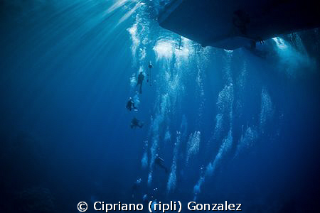 Back to light. The extraordinary visibility at south Red sea by Cipriano (ripli) Gonzalez 
