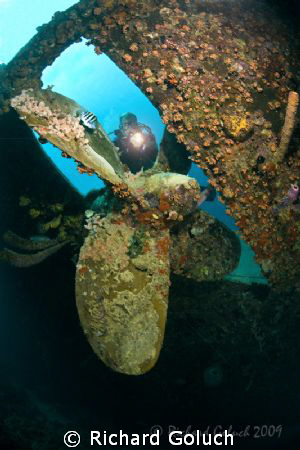 Diver at the prop of Hilma Hooker-Bonaire-Canon 5D 15 mm ... by Richard Goluch 