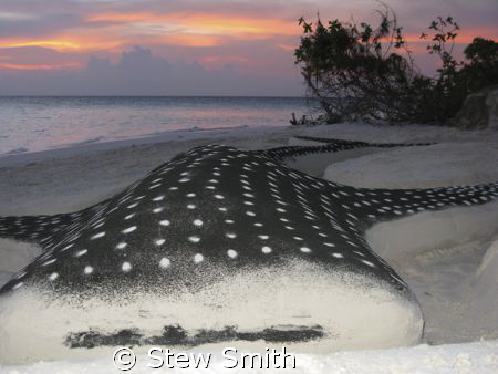 a very different type of sand castle. by Stew Smith 