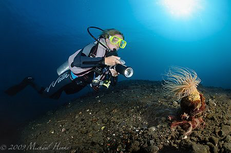 meeting point - Nikon D300, Nikkor 10,5 mm by Michael Henke 