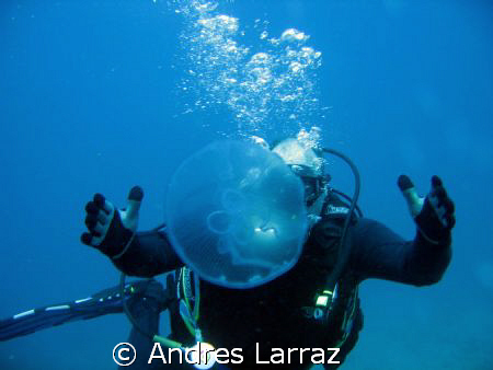 PLaying ball by Andres Larraz 