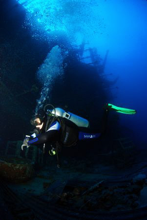 Diver in Red Sea by Andy Kutsch 