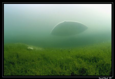 The Mantabubble ... the air captured under the ice looks ... by Daniel Strub 
