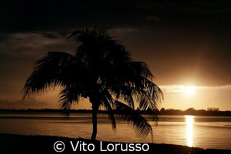Mexico - Cancun by Vito Lorusso 