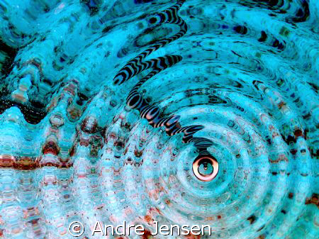 Banded Seasnake came to give my customer a kiss, she didn... by Andre Jensen 