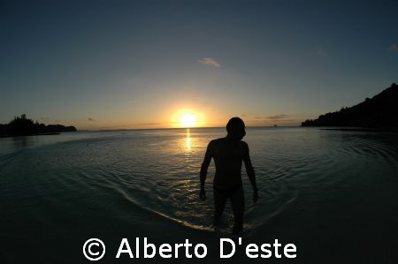 My friend in Palau by Alberto D'este 