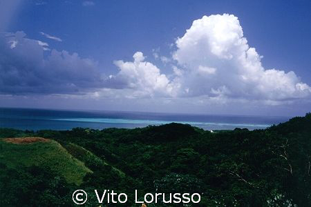 Hounduras - Roatan by Vito Lorusso 