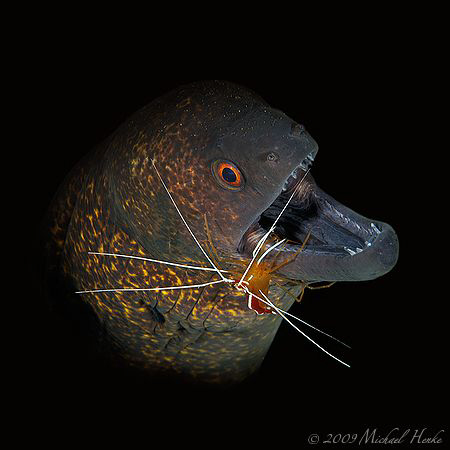 say AHHHHH - Background removed! by Michael Henke 