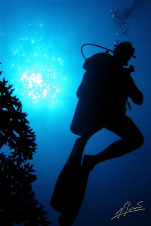 even a diver against a sunburst looks much much "cooler"... by Adriano Trapani 