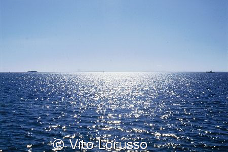 Cuba - Varadero by Vito Lorusso 
