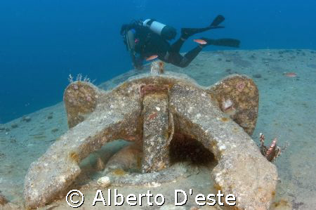 Scubagirl & Wreck
Nikon D70S - 16mm - DS160 by Alberto D'este 