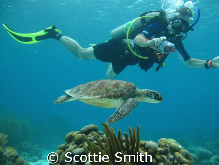 Pic taken at Bonaire Netherland, Antilles. Camera used wa... by Scottie Smith 