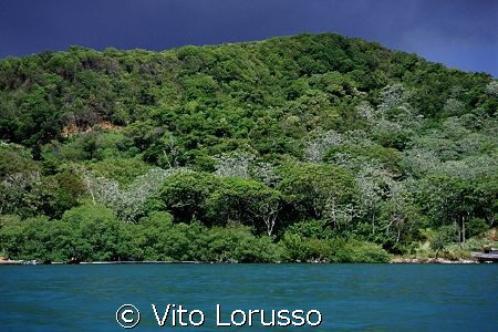 Hounduras - Roatan by Vito Lorusso 