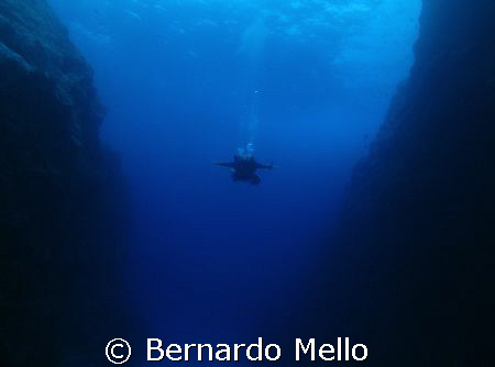 IN this pristine water it looks like a base jump
Using G... by Bernardo Mello 