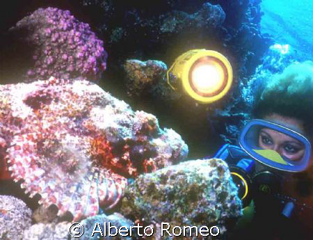 GIRL WATCHING A BIG SCORPIONFISH.
Red Sea - Hurghada by Alberto Romeo 
