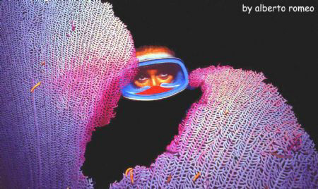 GIRL AND GORGONIA IN NIGHT DIVING
Nikonos 15 mm+ Ikelite... by Alberto Romeo 