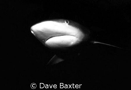 Taken @ kunihura corner by Dave Baxter 