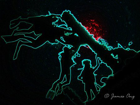 My dive buddies... lolz... taken in Anilao... Backlight s... by James Ong 