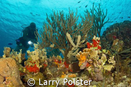 D300, Tokona 10-17 by Larry Polster 