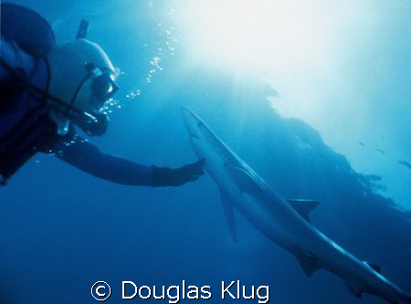 Touch. 
An old capture from the mid 1990's using my old ... by Douglas Klug 