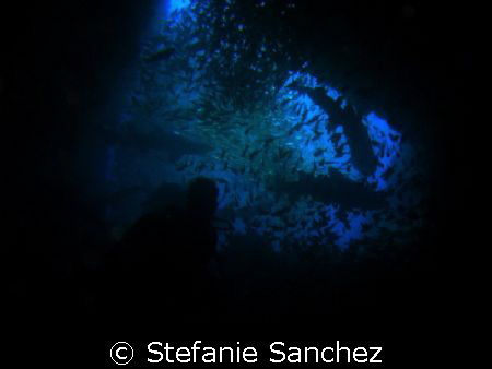 Exit of Fish-Rock Cave. Diver silouette with sharks in ba... by Stefanie Sanchez 