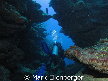 Hol Chan reef by Mark Ellenberger 