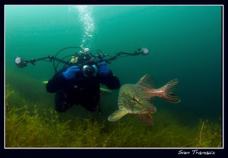 A pike posing for my friend Dany by Sven Tramaux 