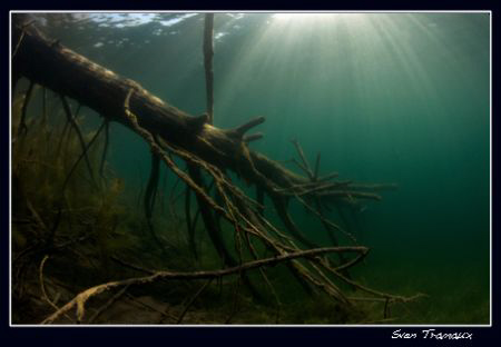 Freshwater magic atmosphere by Sven Tramaux 