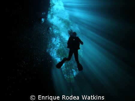 Cenote Profundo = The Pit, at Cenotes Dos Ojos, Riviera M... by Enrique Rodea Watkins 