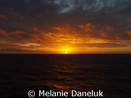 One of my favorite subjects! by Melanie Daneluk 